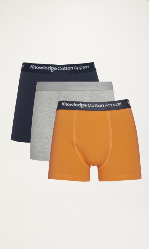 Maple 3 Pack - Underwear - Pureed Pumpkin